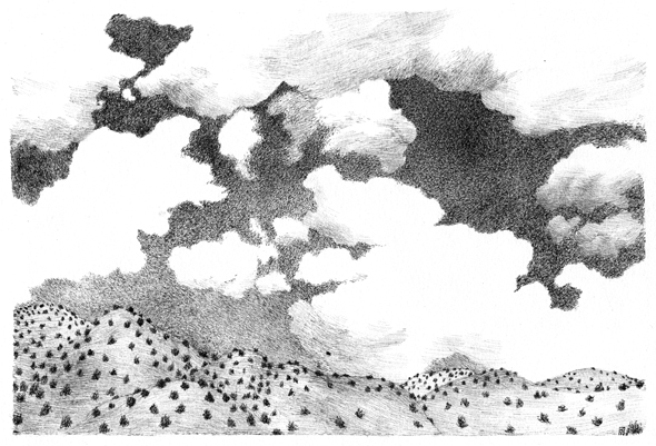 New Mexico landscape